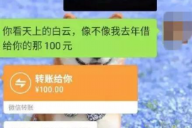 巴音郭楞融资清欠服务