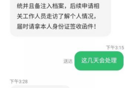 巴音郭楞债务清欠服务